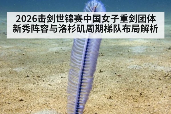 2026击剑世锦赛中国女子重剑团体新秀阵容与洛杉矶周期梯队布局解析